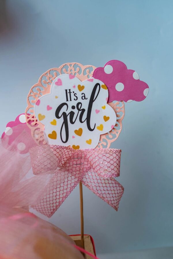 Pinewood Baby Girl Floral Hamper - Image 3